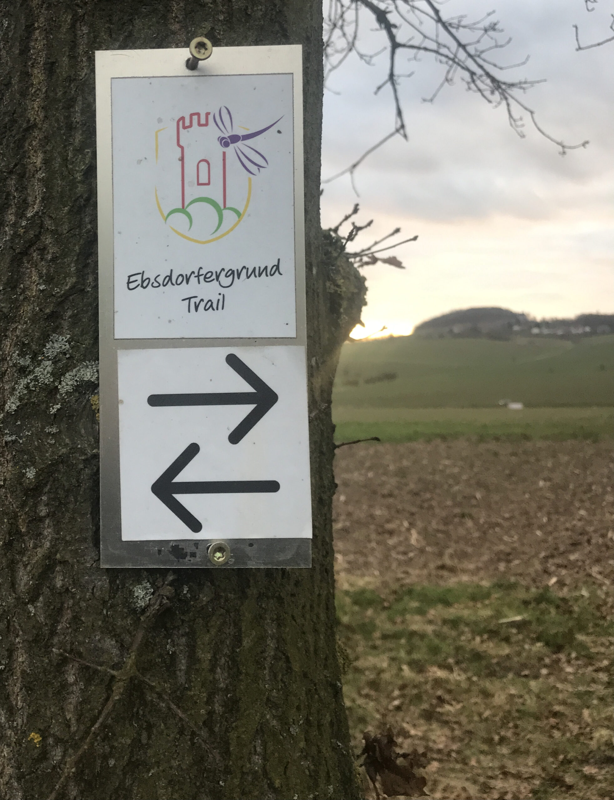 Ebsdorfergrund Trail
