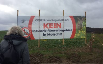 Ortstermin mit Bamberger und Waßmuth