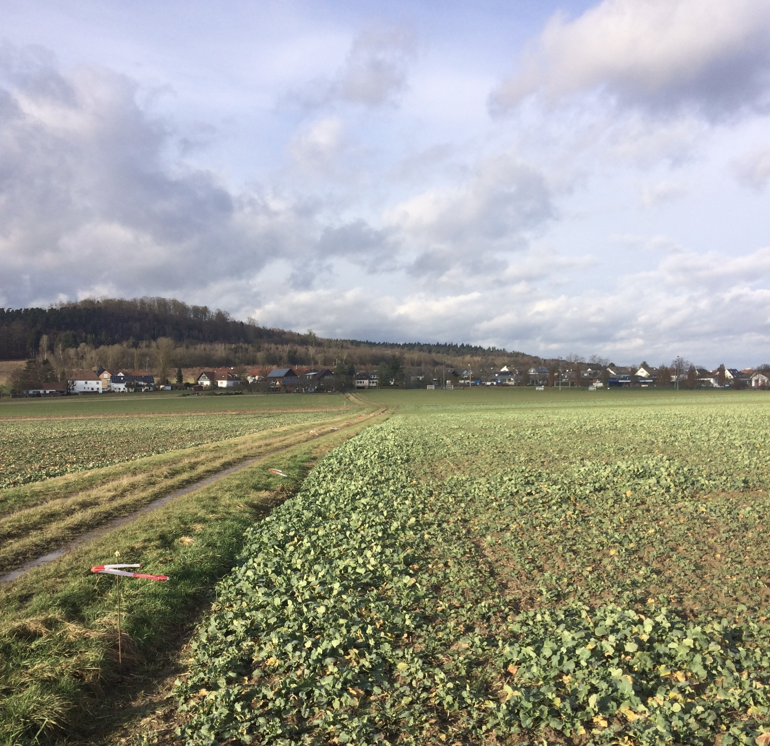 Blickrichtung Moischt