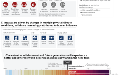 Weltklimarat IPCC: Die Lage verschärft sich
