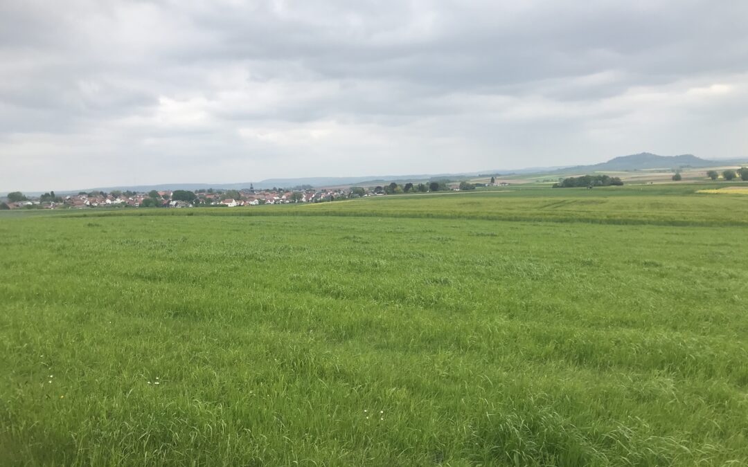 Stellungnahme zum Artikel „Eine Stadt als Aufkäufer“ in der OP vom 13.05.2023